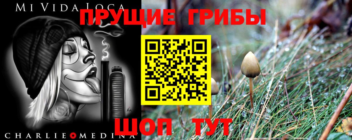 Галлюциногенные грибы Magic Shrooms Кохма