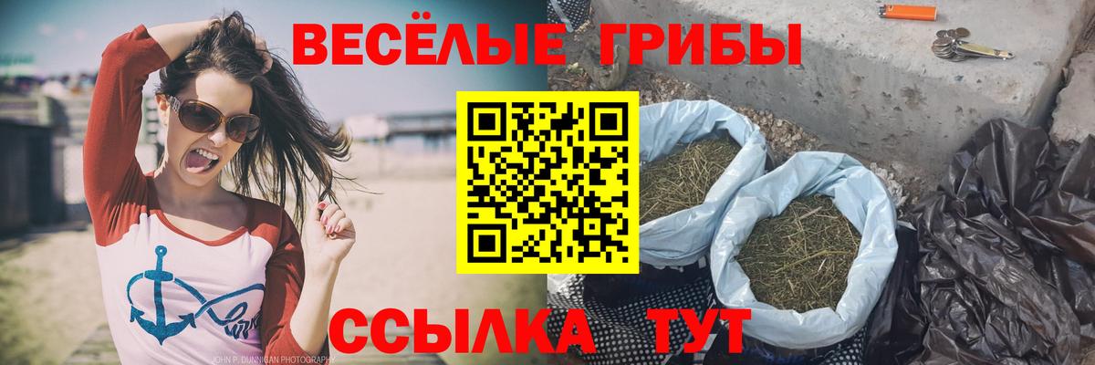 наркошоп  Вход с VPN  Кохма  Галлюциногенные грибы прущие грибы  Псилоцибиновые грибы мицелий 